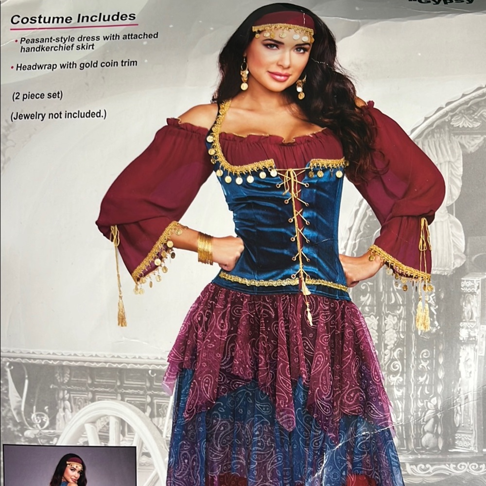 Elegant Gypsy Costume - Blue and Burgundy